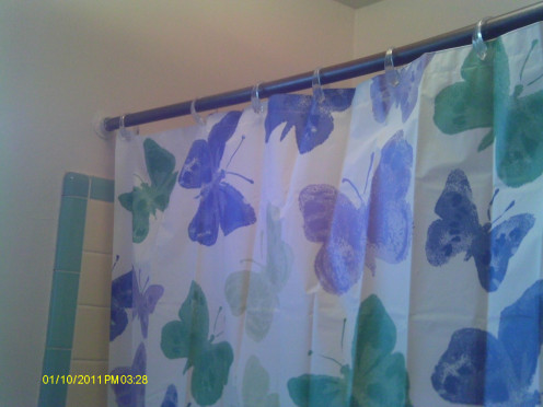 My bright new butterfly shower curtain brings color to the room in contrast to the dull walls.