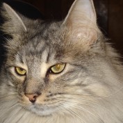 Dee.Hebert profile image