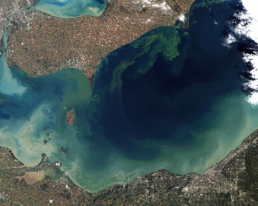 algae bloom in lake Erie