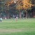 People Playing badminton at Municipal Rose Garden in San Jose CA People Playing badminton at Municipal Rose Garden in San Jose CA
