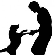 Ken Adams profile image