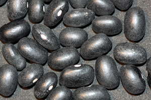 Black Beans