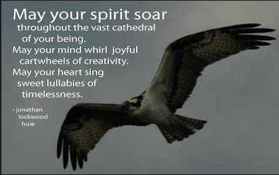 I am an eagle - Eagles don't flock. You have to find them one at a time. ~ H Ross Perot