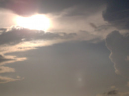 https://usercontent2.hubstatic.com/7111567_f260.jpg