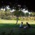 People Having A Picnic at Municipal Rose Garden in San Jose CA People Having A Picnic at Municipal Rose Garden in San Jose CA