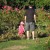 A Little Girl Walking Alongside with Her Daddy at Municipal Rose Garden in San Jose CA A Little Girl Walking Alongside with Her Daddy at Municipal Rose Garden in San Jose CA