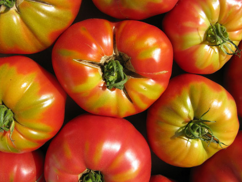 Tomatoes