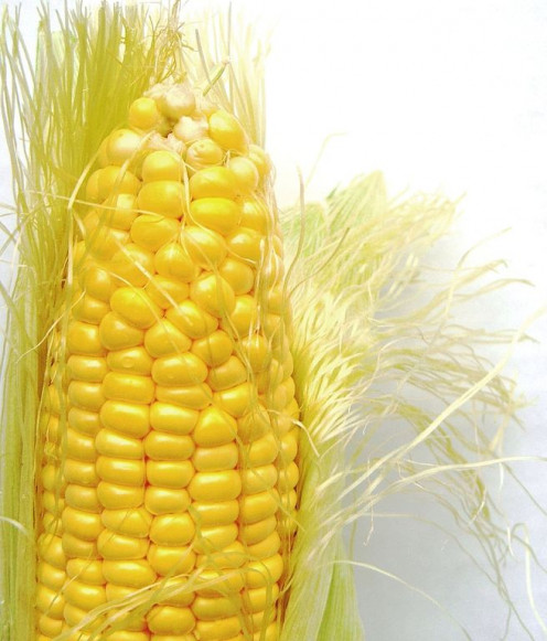 Corn on the Cob