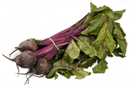 Young Beets