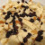Before adding the milk mixture