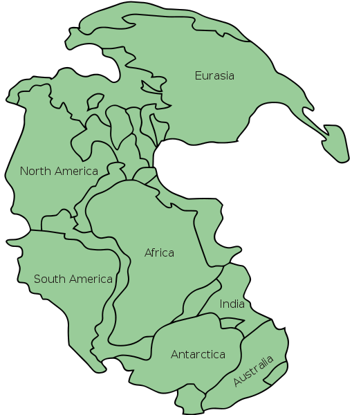 Around 200 million years ago, the great supercontinent known as Pangaea began to break apart , splitting into several continents.
