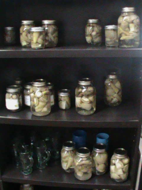 Canned Vegatables on Shelf