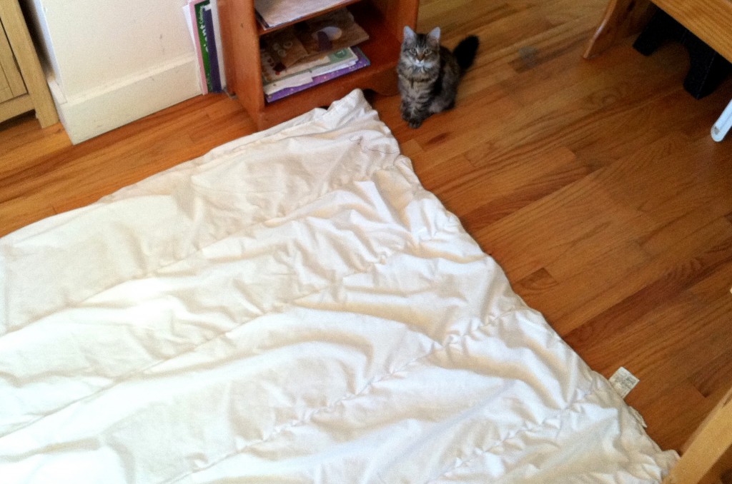 How to Put a Duvet Cover On by Yourself