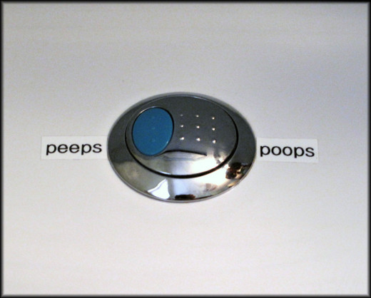 Glacier Bay Dual Flush Toilet Blue Button; What's it For? Which Button