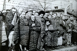 Prisoners still  alive at the Liberation of Auschwitz