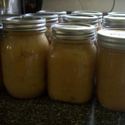 How to Make Homemade Applesauce and Can it