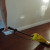 Vacuuming with An Eureka Boss Superbloom Vacuum Vacuuming with An Eureka Boss Superbloom Vacuum