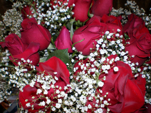 Red roses with white baby's breath.