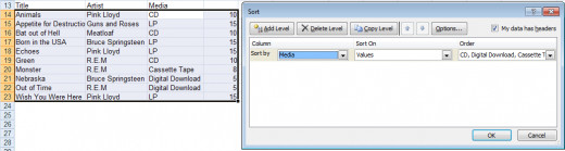 Using the sort command with a custom list in Excel 2007.