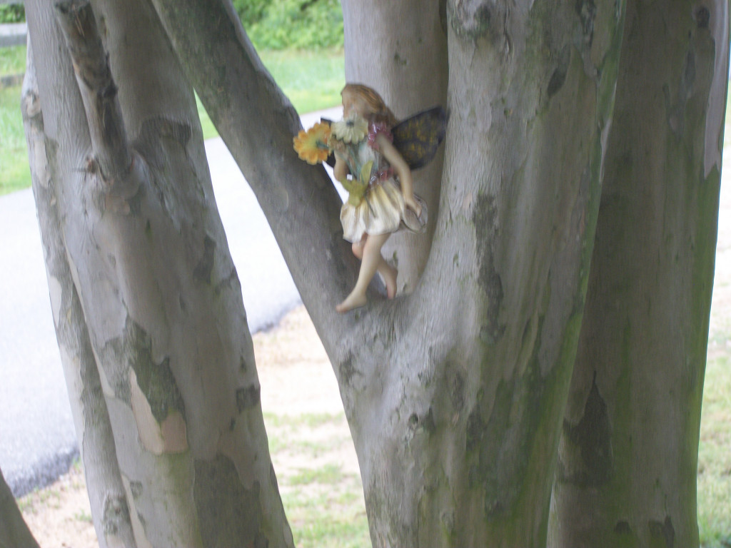 Fairy Trees Trees and Plants Inhabited by the Fay