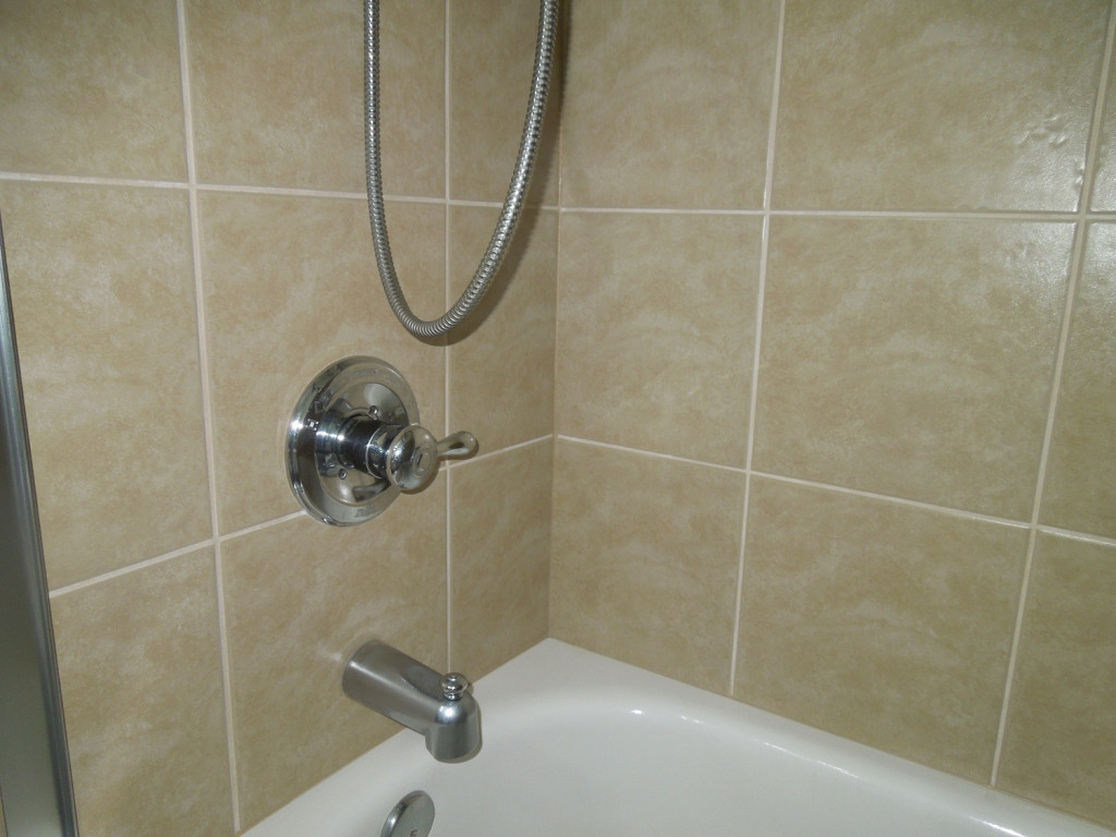 How to Prevent Mold in A Bathroom Bathroom Cleaning Tips