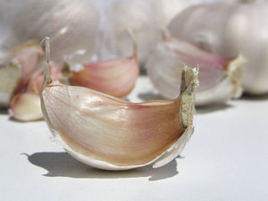 Garlic is magic for me