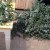 Piles of branches on my kitchen floor, on the table, and still more to come from outside! Piles of branches on my kitchen floor, on the table, and still more to come from outside!