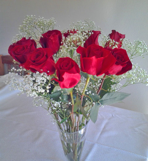 Beautiful Red Roses
