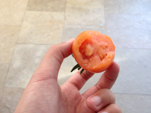 Fresh tomatoes make delicious snacks. 