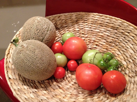 The two melons on the left are cantaloupes. The tomatoes are an assortment from Heirloom to cherry. 