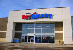 What are the Best Pet Stores in the U.S.?  Comparison of PetSmart and Petco - Which is Better?