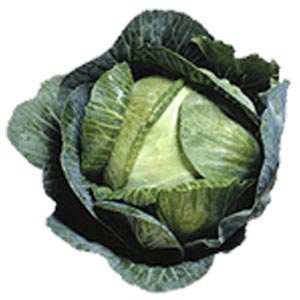 HubPages profile picture for @cabbage