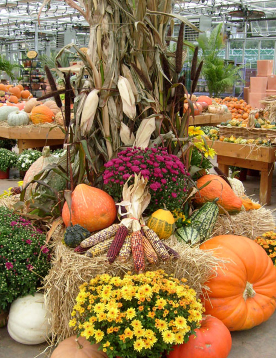 25 Top Pictures Corn Stalks Decorations Ideas : Fall Decorating Ideas for Outside (and a Funny Story ...