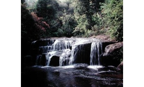 Waterfalls in Kodaikanal - of course I visited when there was not even a drop of water!