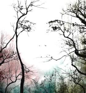 Face in Trees Illusion 