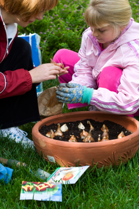 Fall is the perfect time to plants bulbs and enjoy beautiful blue flowers in your spring garden