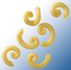 Pastazanini.it