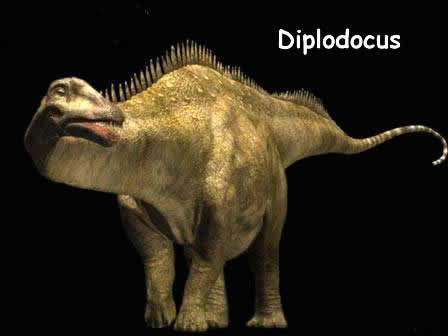 DIPLODOCUS
