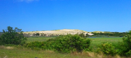 The familiar dunes of Cape Cod