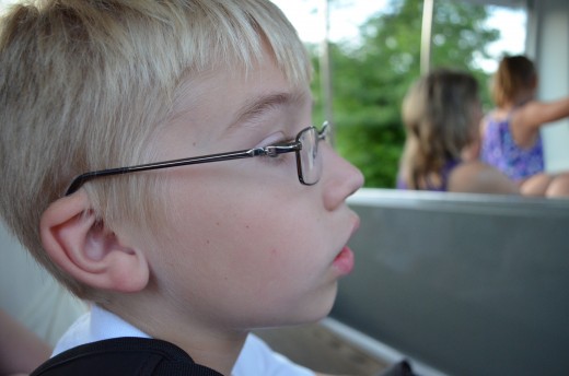 Looking at animals at the zoo