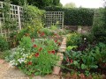 Small Garden Ideas on a Budget