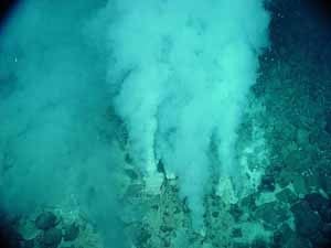 Methane plumes are observed rising from the seafloor.