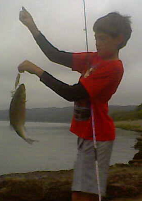 In this case, the bigger the Pop-R, the bigger the hybrid striped bass.