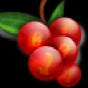 sourcebitstech profile image