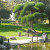 Japanese Friendship Garden San Jose CA Japanese Friendship Garden San Jose CA