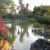 Japanese Friendship Garden San Jose CA Japanese Friendship Garden San Jose CA