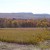 A cornfield in the fall A cornfield in the fall