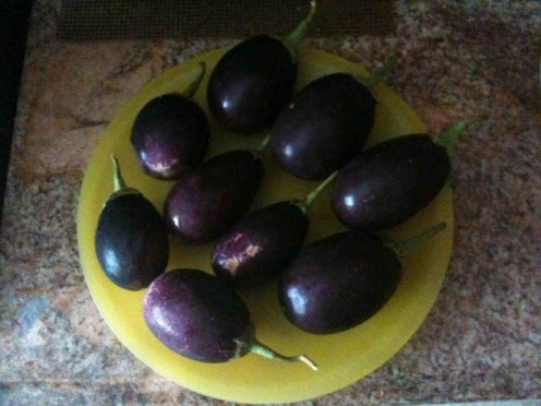 Baby eggplant