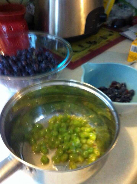 You will need to first separate the skins from the grapes. 