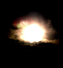 https://usercontent2.hubstatic.com/7218605_f260.jpg